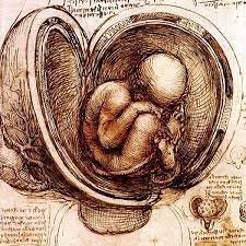 Dibujo Anatómico de un Feto en el Útero de Leonardo da Vinci