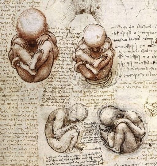 Leonardo da Vinci: Biografía y Obra Principal