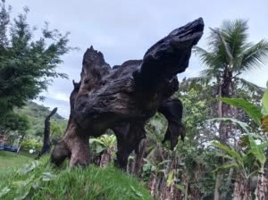 Ed Ribeiro dans son atelier entouré de sculptures et d'œuvres inspirées des Orixás.