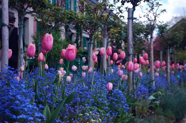 Las pinturas de Monet en la casa