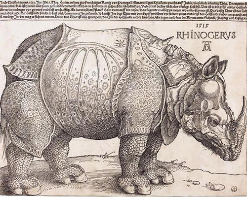 Le Rhinocéros, gravure sur bois d'Albrecht Dürer, 1515.