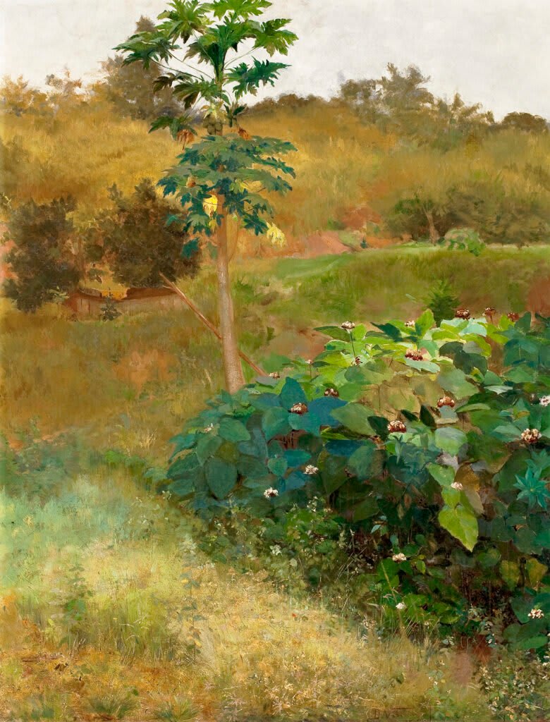 Una obra de Eliseu Visconti, 