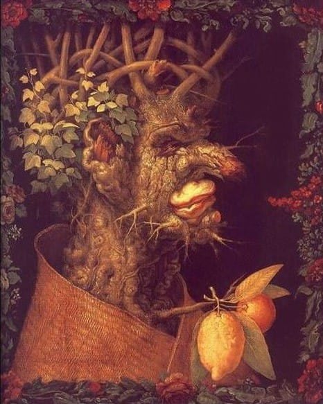 Winter - Biografie von Giuseppe Arcimboldo