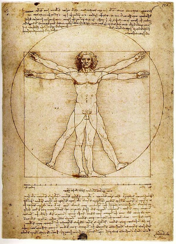 The Vitruvian Man - Leonardo da Vinci