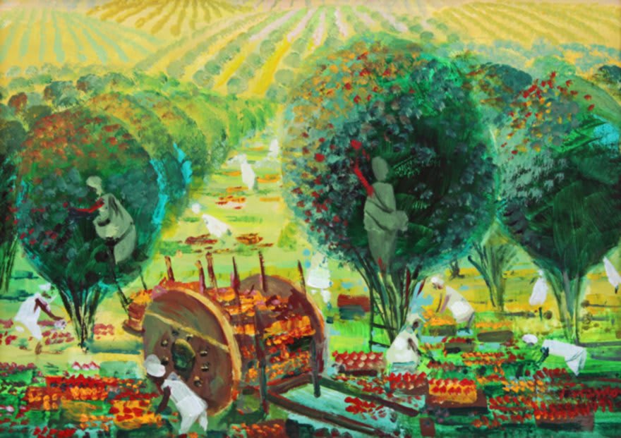 Biographie d'Enrico Bianco - Récolte d'oranges