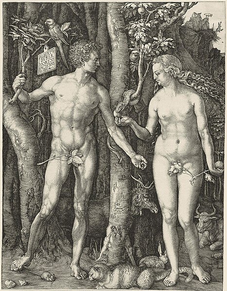 Adamo ed Eva (la Caduta dell'Uomo). Albrecht Dürer. 1504