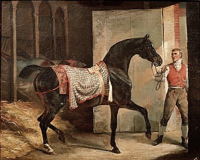Cavallo che esce da una stalla.